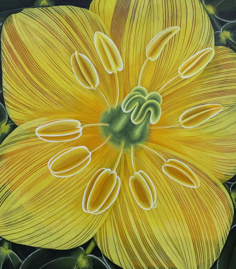 Encoded in Petals by Soraya Abu Naba'a