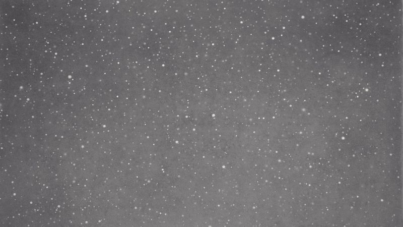 Vija Celmins