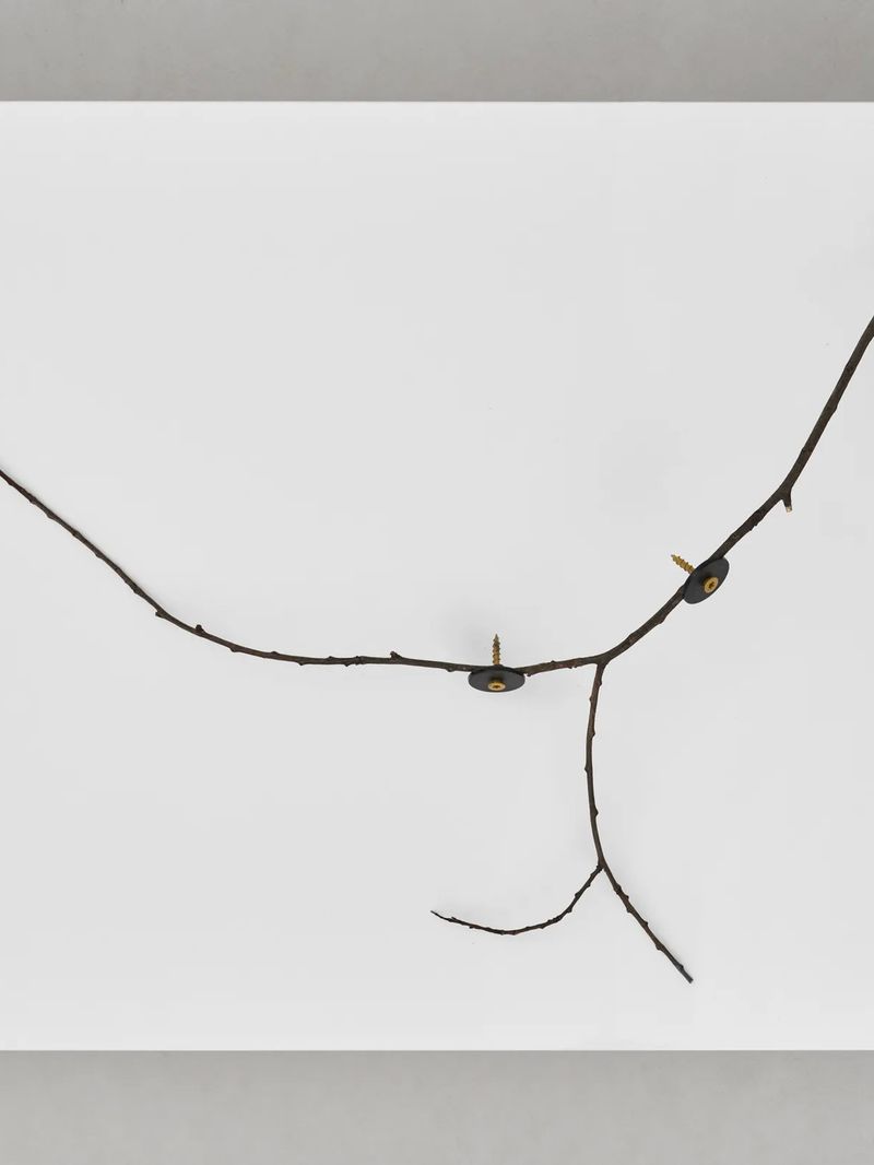 City Tree (TrackTIK)