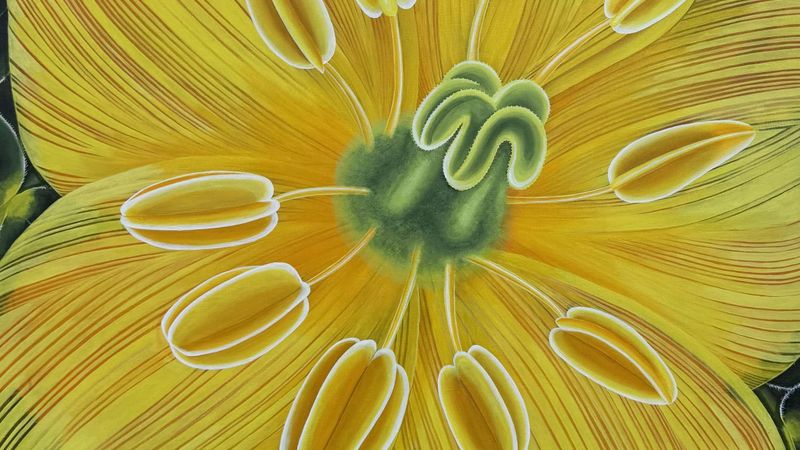 Encoded in Petals by Soraya Abu Naba'a