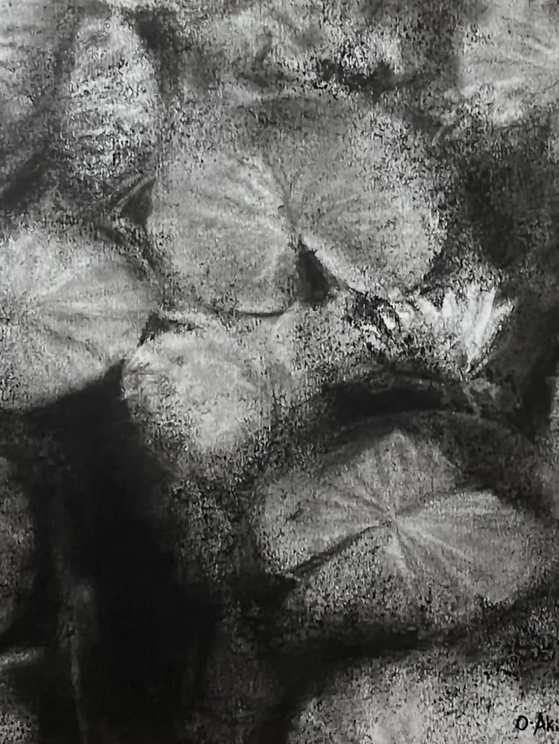 Water Lillies