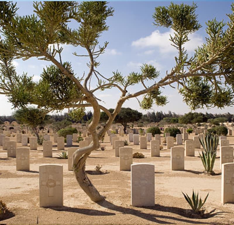 El Alamein War Memorials — place