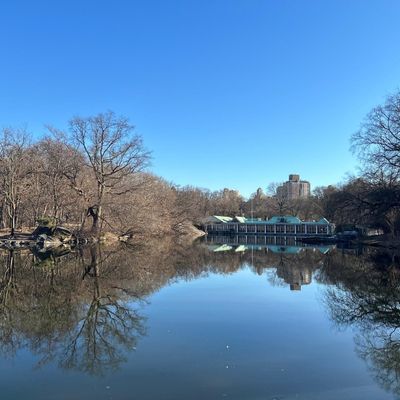 Reflection