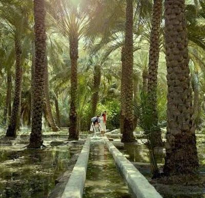 Al Ain Oasis & the Falaj Channels