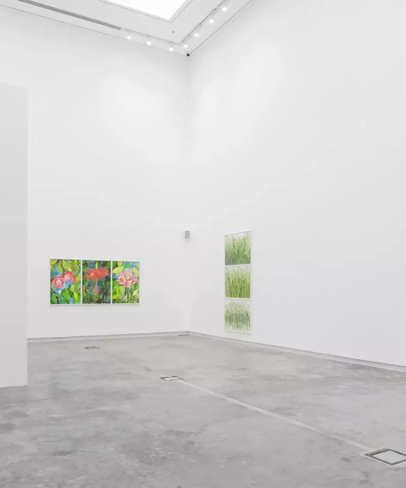 Efie Gallery — gallery cover