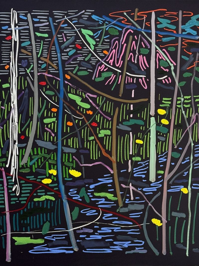Forest of Blue River and Pink Mountain