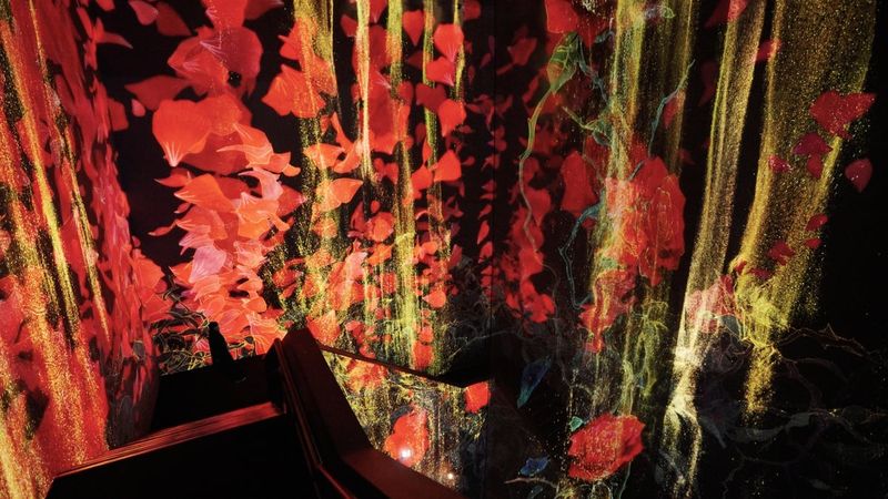 teamLab Borderless Jeddah — museum cover