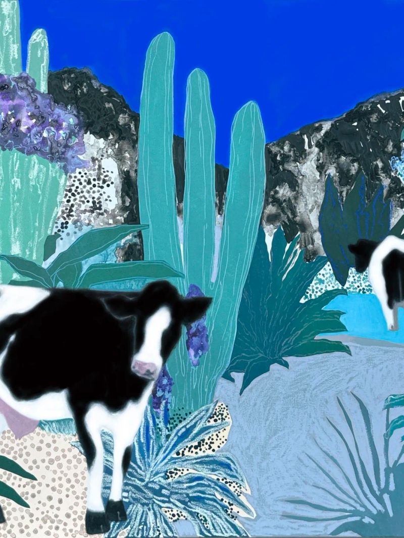 A Cow