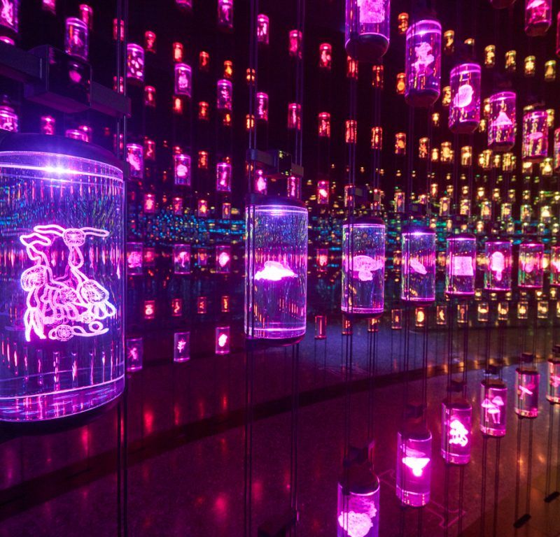 DNA Vault