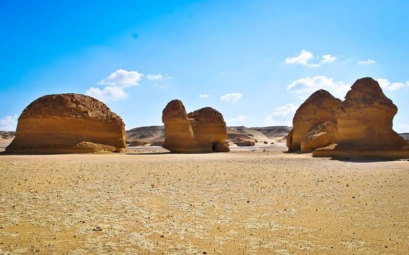 Wadi el-Hitan (Valley of the Whales) — place photo
