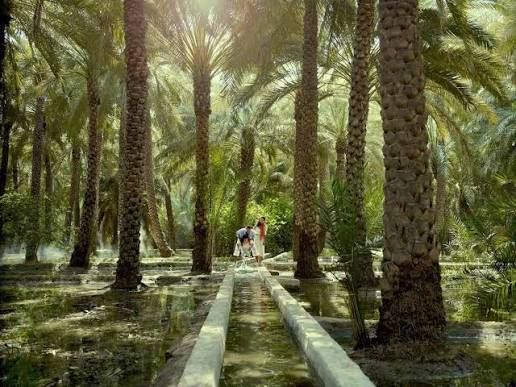 Al Ain Oasis & the Falaj Channels — place