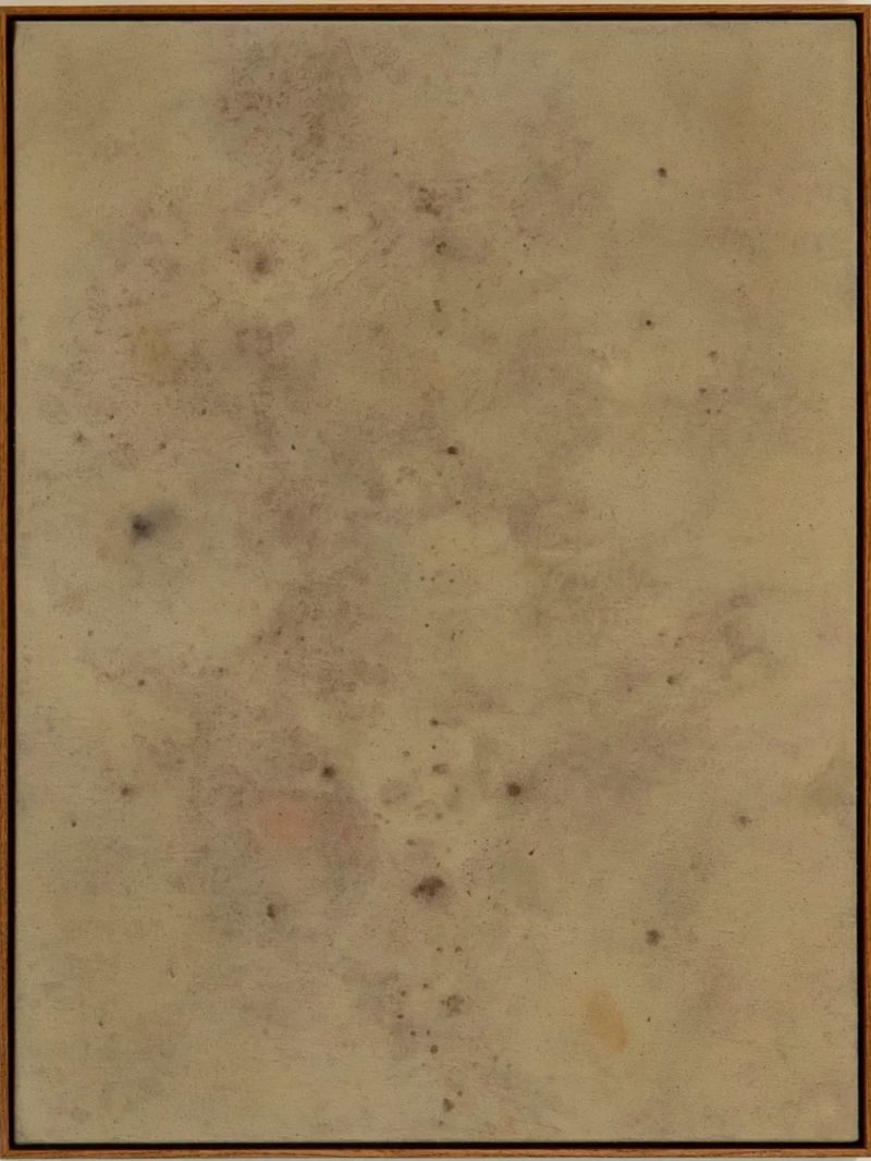 Bitter fruit