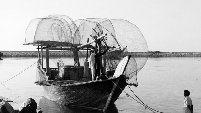 Culture of the Sea