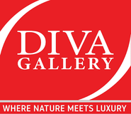 Diva Gallery — gallery logo