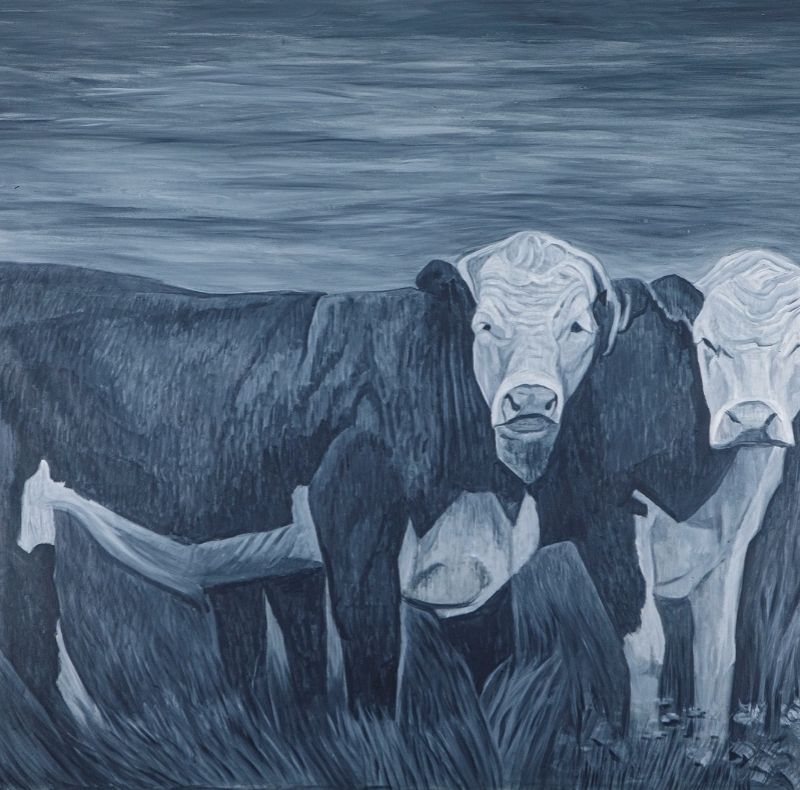 Two Steers