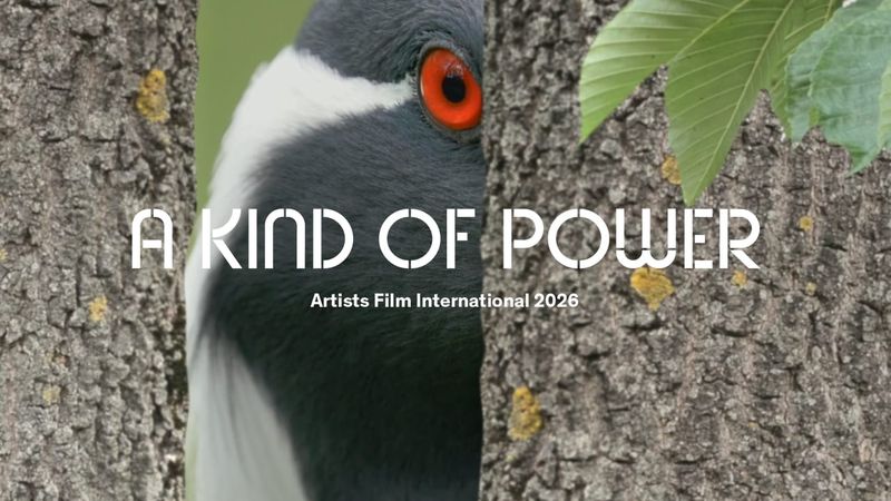 Artists Film International 2026: A Kind of Power