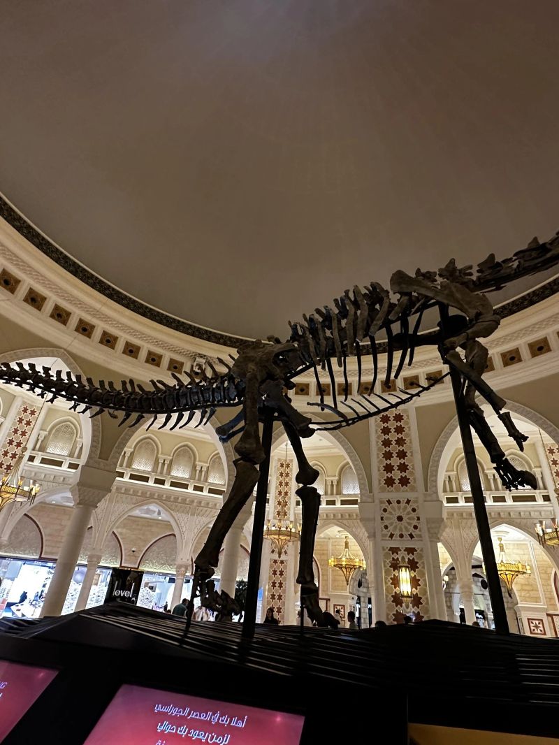 DubaiDino