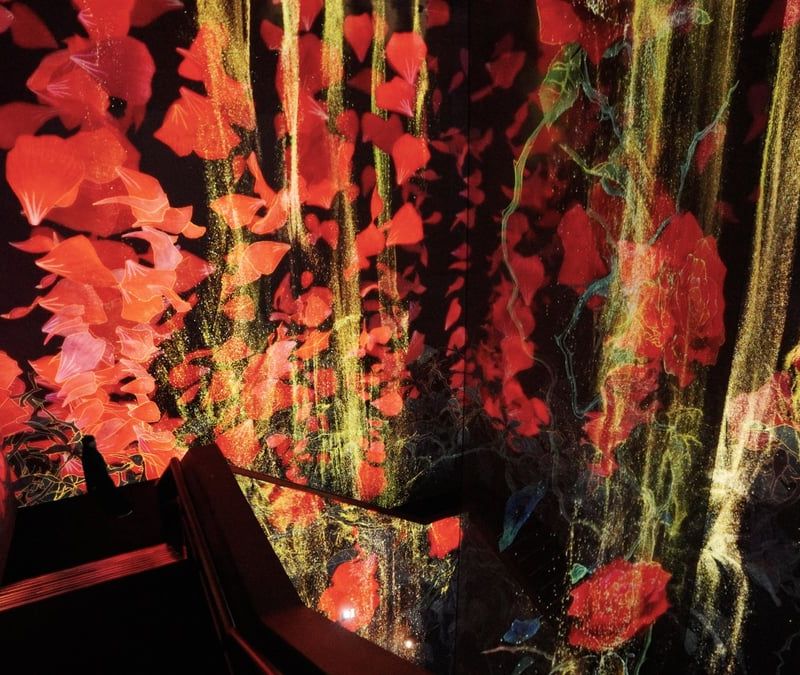 teamLab Borderless Jeddah — museum cover