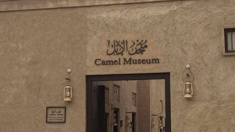 Camel Museum — museum cover