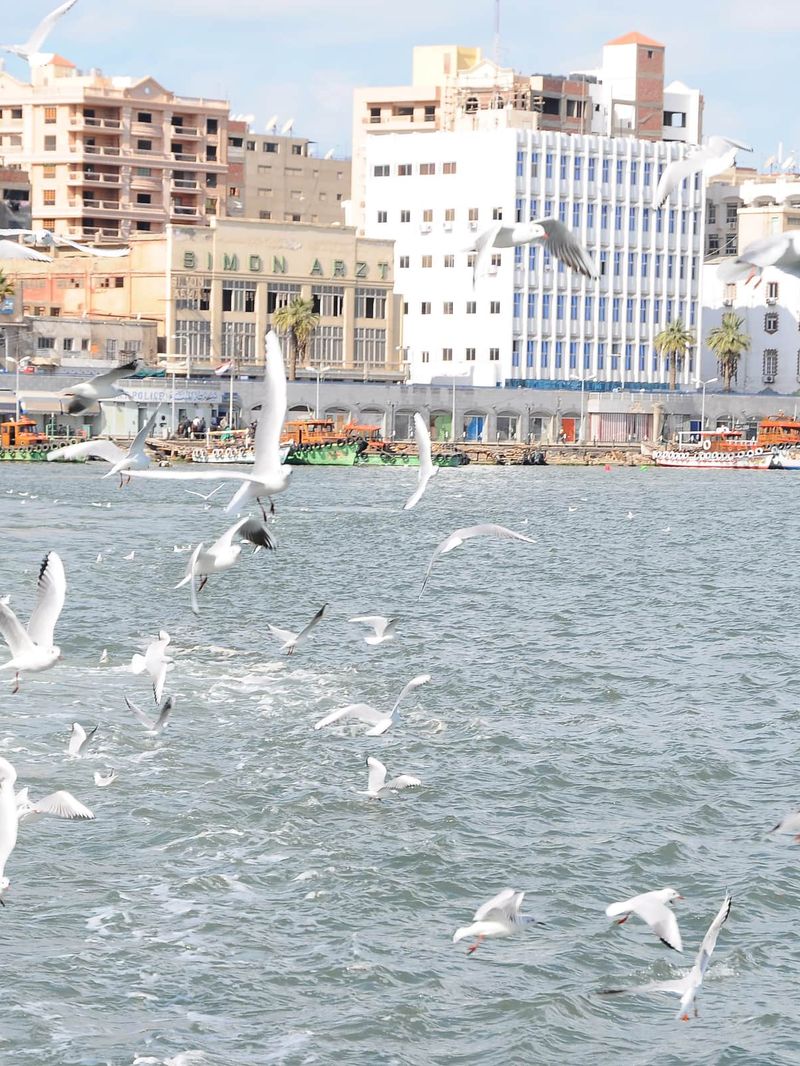 Historic Port Said and the Suez Canal — place