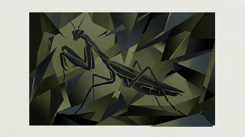 Abstract macro photography of a praying mantis navigating translucent architectural fragments in muted earth tones