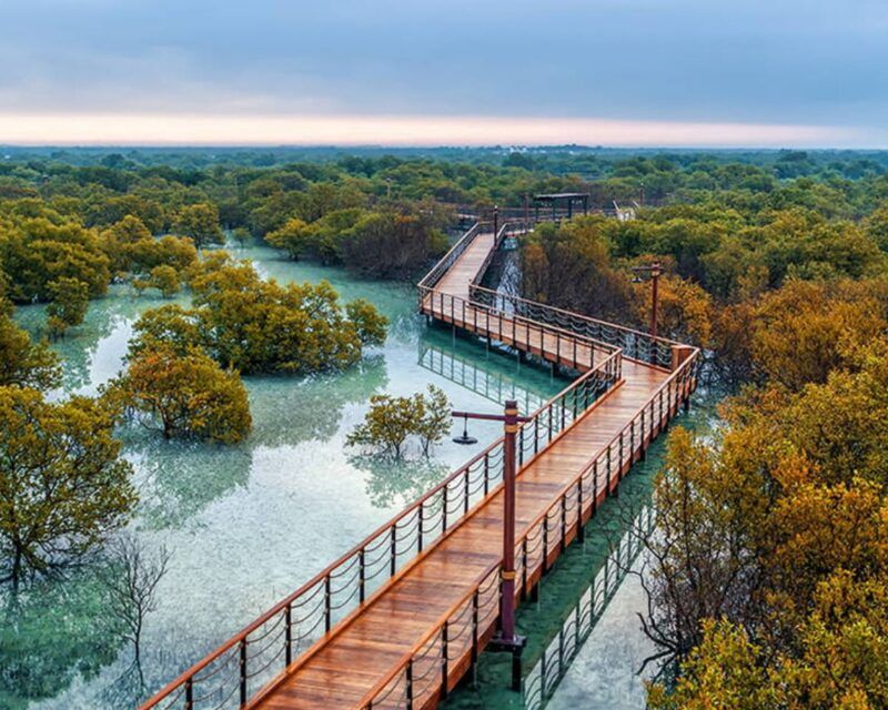 Jubail Mangrove Park Boardwalk — place