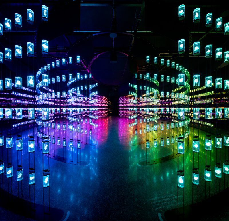 HEAL Institute
