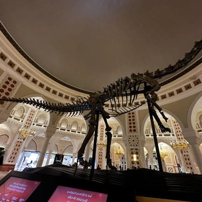 DubaiDino